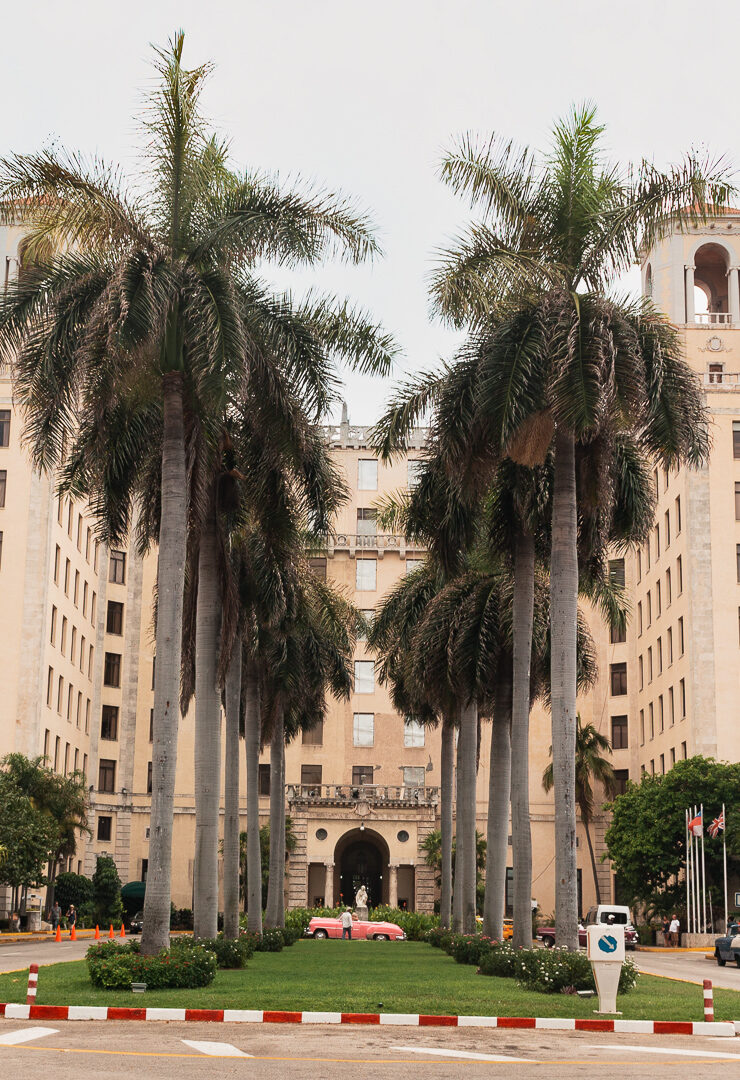 Palm trees lining the entrance to the Hotel Nacional in Havana